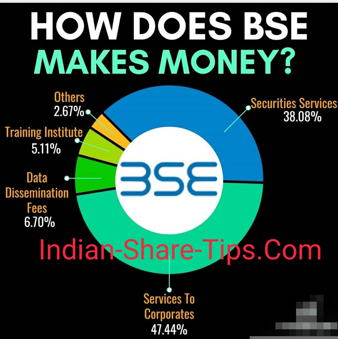 How to Make Money from Midhani Share Price Bse