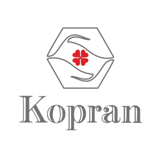 How to Trade Kopran Share Price on Bse